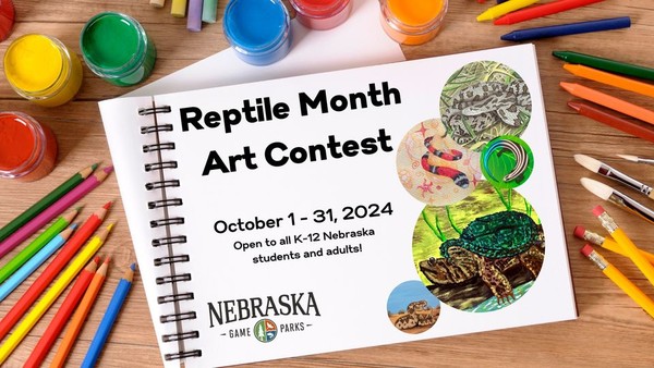 Nebraska Reptile Month Art Contest