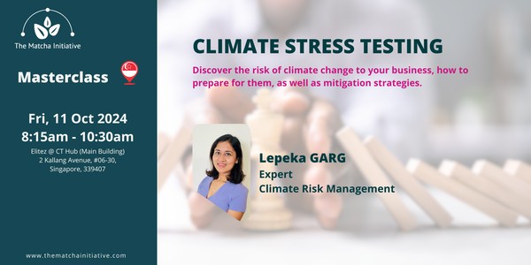 Climate Stress Testing