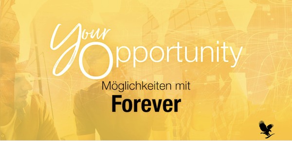 Your Opportunity  Hamburg Starter Workshop