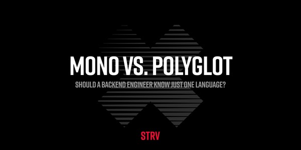 Mono vs. Polyglot (Brno)