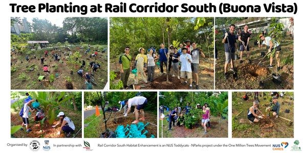 Tree Planting @Rail Corridor South(Buona Vista) Oct2024