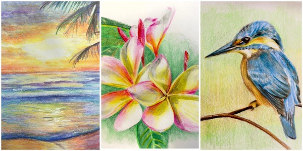 Coloured Pencil Drawing Course by Xiang Ling - MP20241019CPD