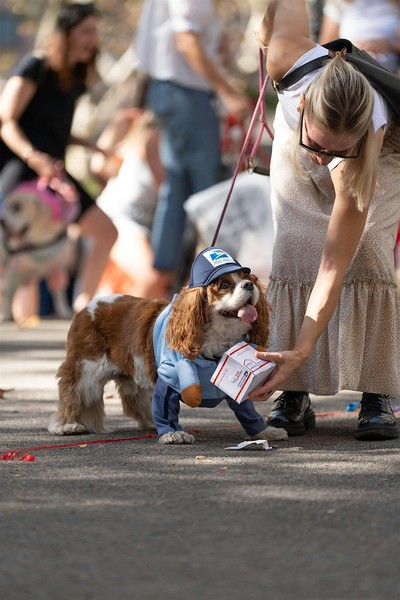 26th Annual Great PUPkin Dog Costume Contest