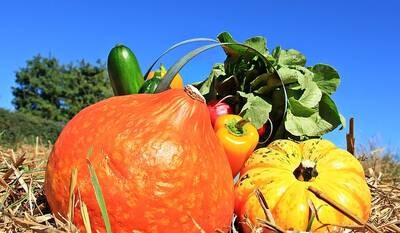 10. Erntedankfest an der Naturschutzstation