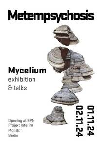 Metempsychosis - Exhibition & Talks