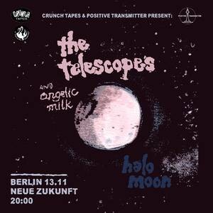 The Telescopes / angelic milk @ Neue Zukunft