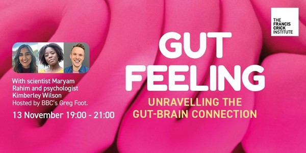 Gut Feeling | Unravelling the gut-brain connection