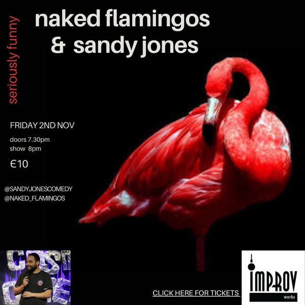 Live Comedy with the Naked Flamingos