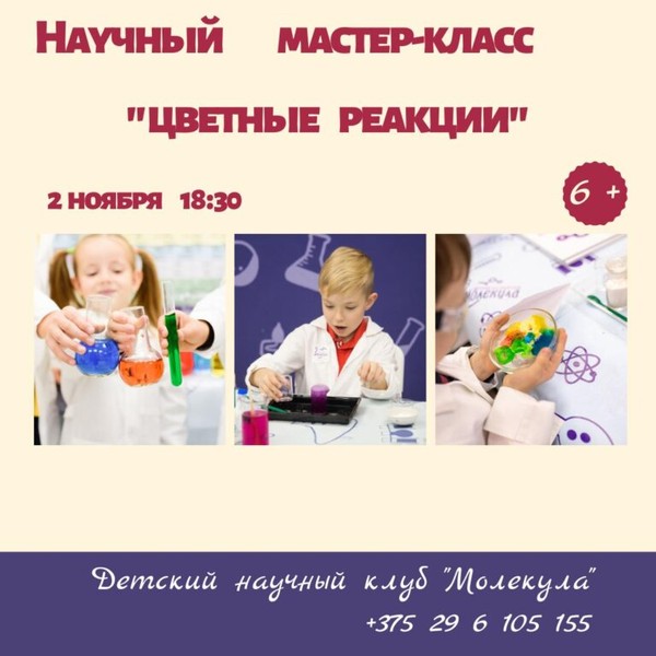 Мастер-класс по химии «Цветные реакции», 5+