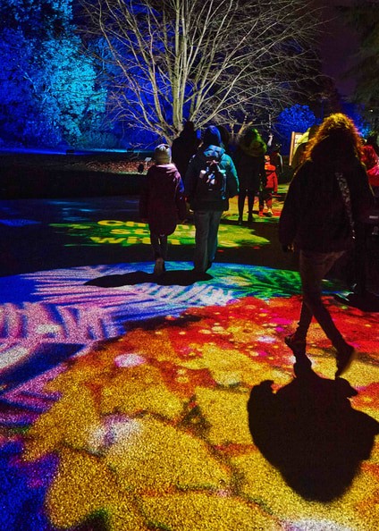 Brooklyn Botanic Garden Lightscape 2024 | Light Show