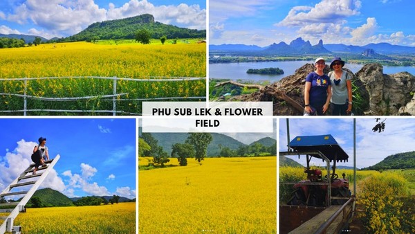 Phu Sub Lek & Flower Field  Phu Sub Lek & Flower Field