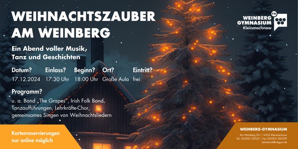 Weihnachtszauber am Weinberg