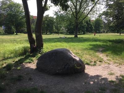 Tanzen im Park (Energy Dance)