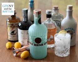 GIN-TASTING "AM TOR ZUR WELT"   -  auch als Geschenkgutschein