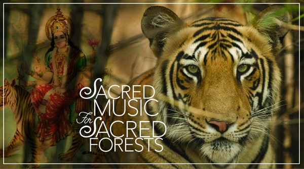 Sacred Music for Sacred Forests ~  Benefit for World Wildlife Day