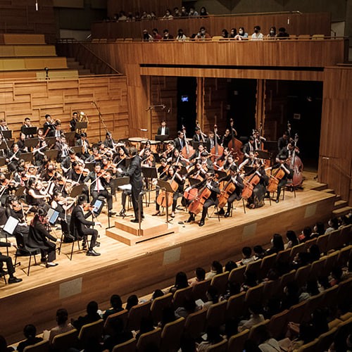 Solisti in Concerto 2024 | Orchestra of the Music Makers