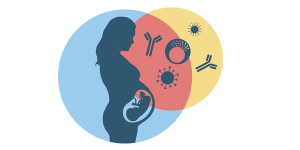 "Immunity in pregnancy and in early life ─ lifelong impact on health"