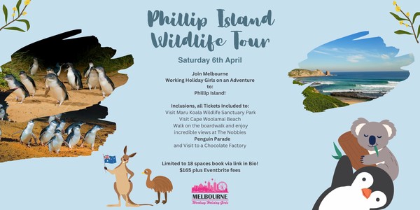 Phillip Island and Wildlife Tour Working Holiday Girls