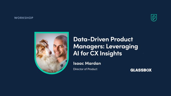 Workshop: Data-Driven Product Managers: Leveraging AI for CX Insights