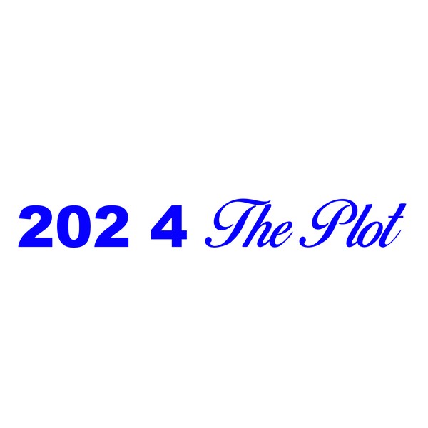 202 4 THE PLOT