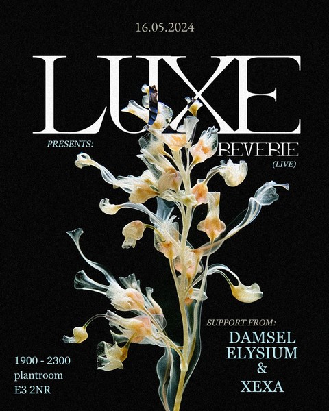 LUXE presents: Reverie (Live)