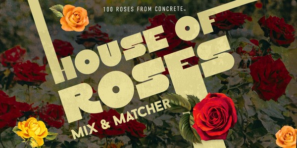 100 Roses From Concrete  House of Roses: Mix & Matcher Networking Event