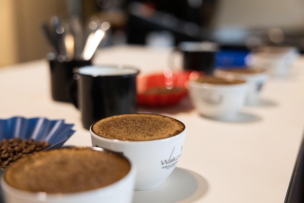 COFFEE CUPPING  25.05.2024 - Tauche in die Geschmackswelt des Kaffees ab