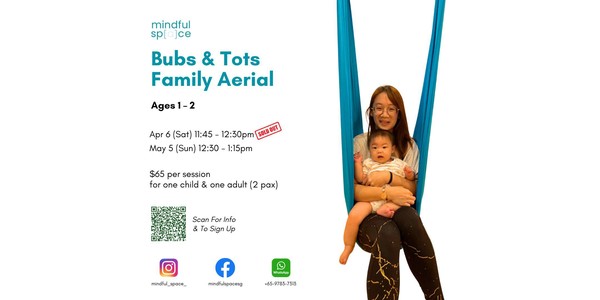 Bubs & Tots Family Aerial