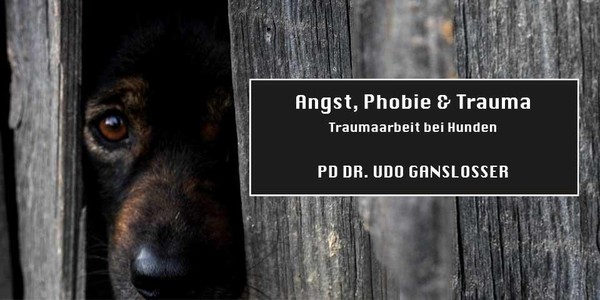 Angst, Phobie & Trauma bei Hunden (PD Dr. Udo Gansloßer)