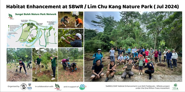Habitat Restoration at SBWR/Lim Chu Kang Nature Park (Jul 2024)