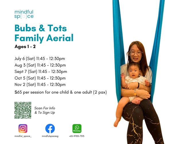 Bubs & Tots Family Aerial (Age 1-2) Workshop