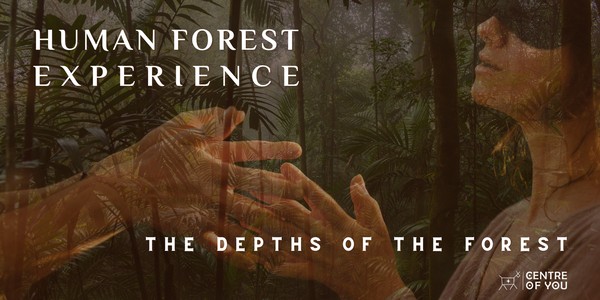 Human Forest - The Depths of the Forest. A Regenerative Touch Experience.