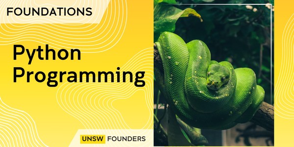 Foundations: Python programming workshop