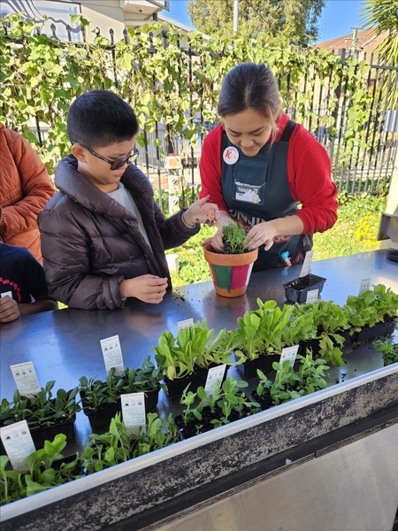Free gardening workshop with Bunninngs @ Auburn Centre for Community for all ages