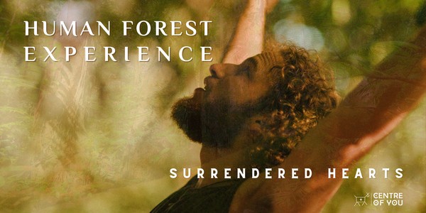 Human Forest - Surrendered Hearts. A Regenerative Touch Experience.