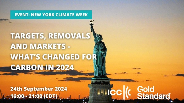 Targets, Removals and Markets – What’s Changed for Carbon in 2024?