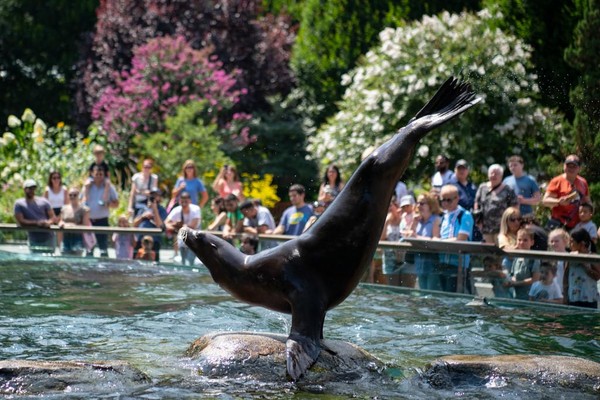 Dream Night at The Central Park Zoo