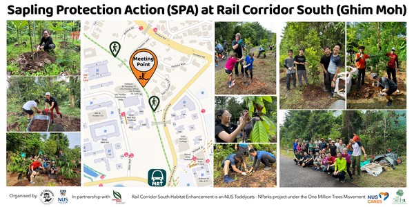 Sapling Protection Action (SPA) @Rail Corridor South (Ghim Moh) Sep 2024