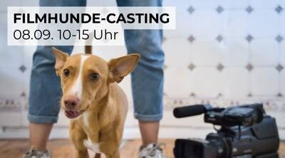 Filmhunde-Casting