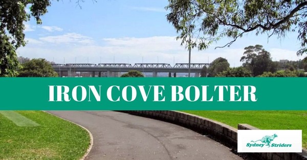 Iron Cove Bolter STaR Iron Cove Bolter STaR