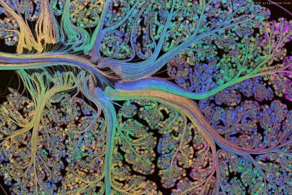 The Ethics of Neural Frontiers