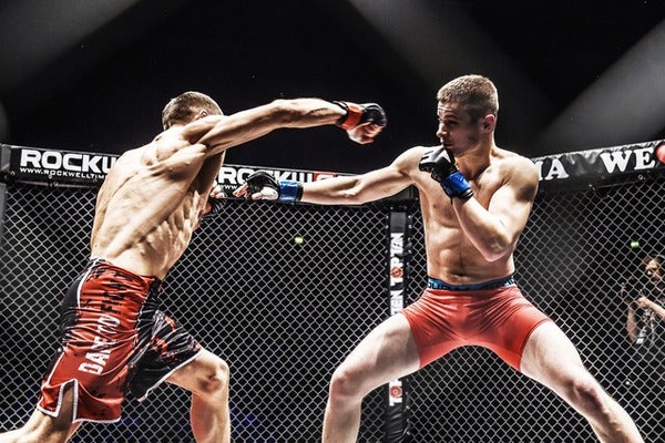 We Love MMA | Box-Seat in the Ticketmaster Suite