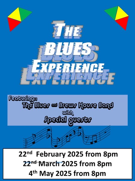 The Blues Experience  The Blues Experience