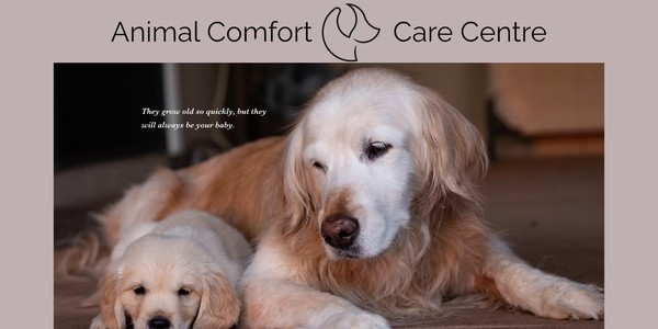 Free information session on Palliative Care for your pet