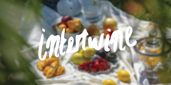 Intertwine | Picnic in the Park