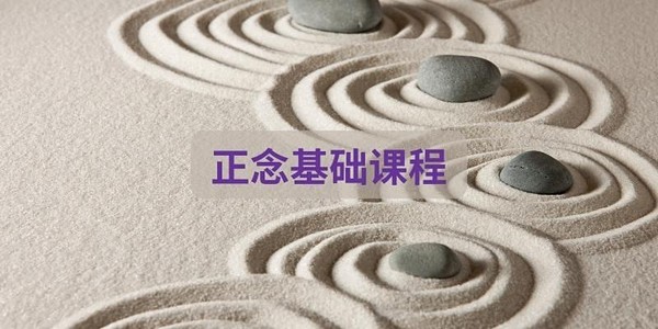正念基础课程 Chinese Mindfulness Foundation Course by Hsueh Ya Wen-NT20250322CMFC