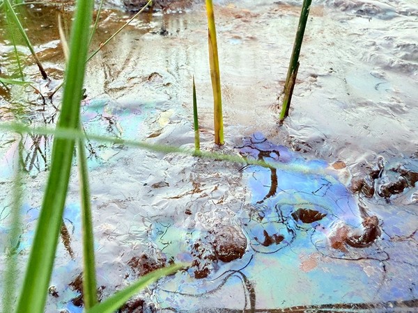 MUDDY MEASURES