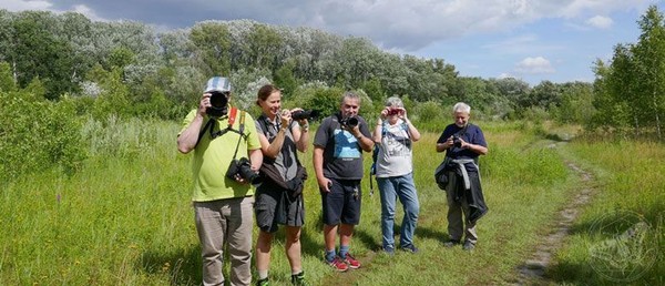 Fotokurse Wien | Naturfotografie im Nationalpark Donau-Auen