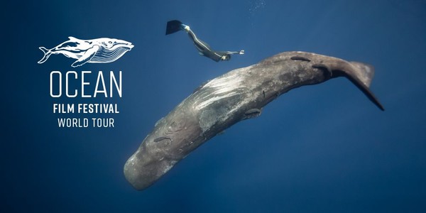 Ocean Film Festival World Tour 2025 - Melb Astor Fri 7 Mar 7pm Ocean Film Festival World Tour 2025 - Melb Astor Fri 7 Mar 7pm