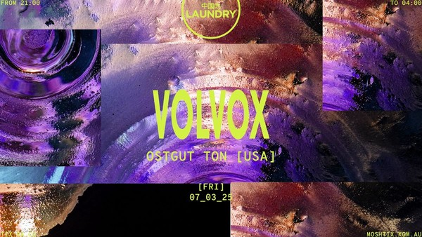 Chinese Laundry Invites VOLVOX [USA] Chinese Laundry Invites VOLVOX [USA]